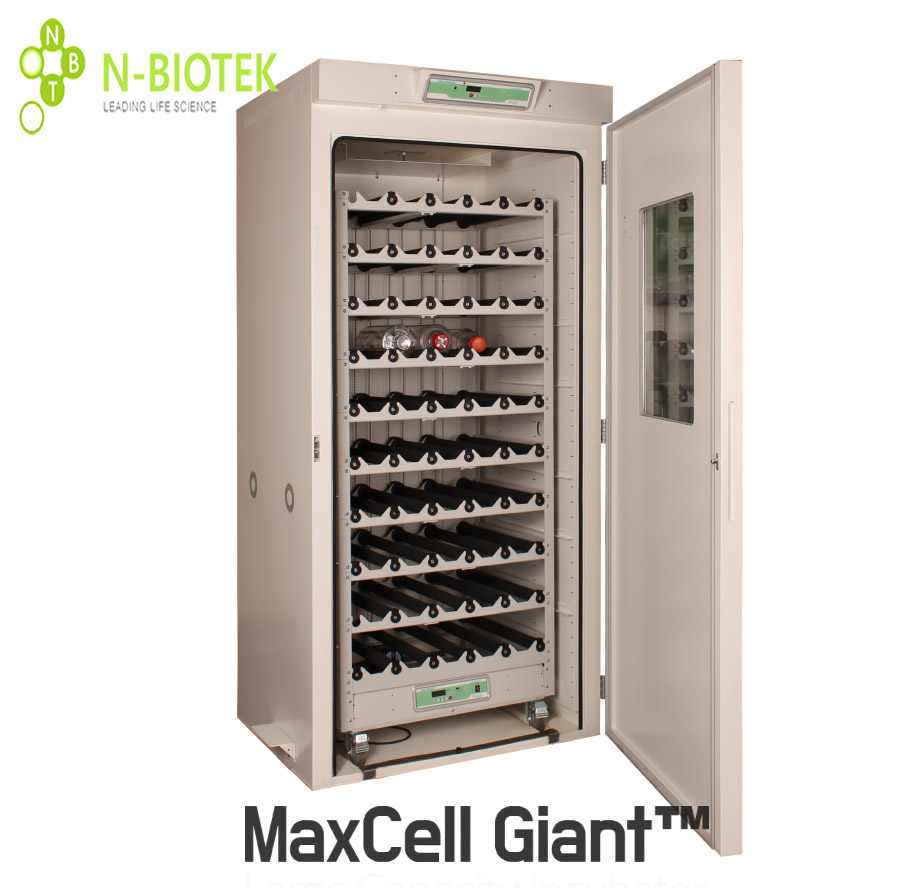 MaxCell Gaint大型CO2培养箱（1200L!）